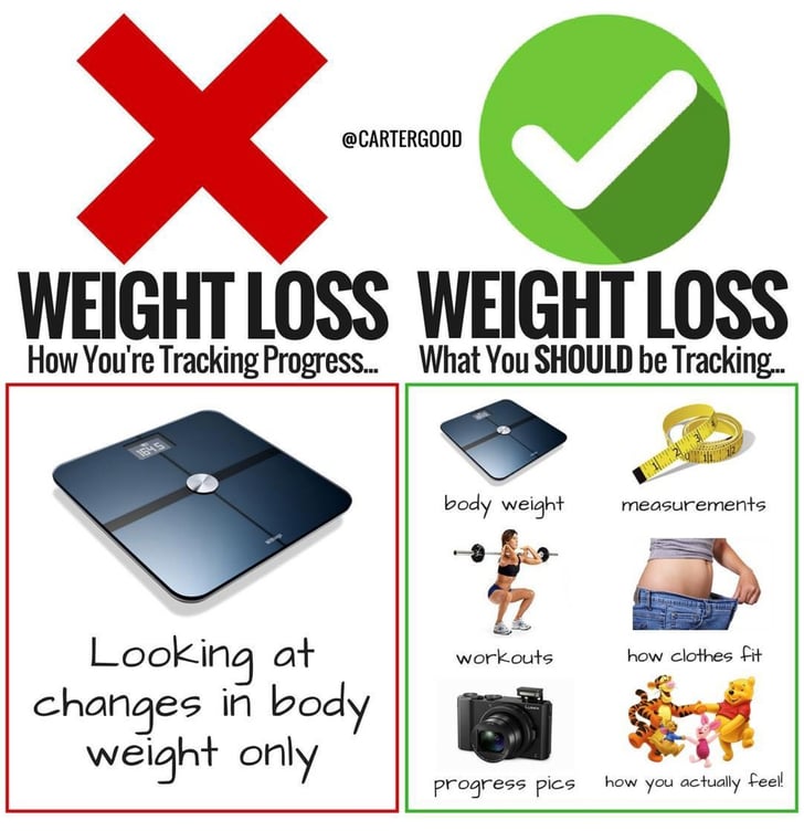 weight loss tracker app daily